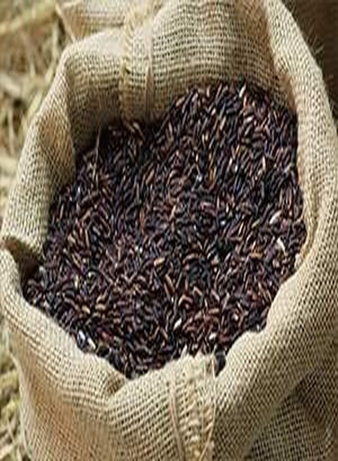 POWERLON خيط إغلاق أكياس غير قابل للكسر من النايلون باورلون® PP، طبقتين، 2000 متر، NW_2 (عبوة من 4 قطع، أزرق) - Image 5